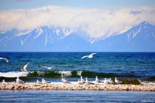 Планета Байкал. 