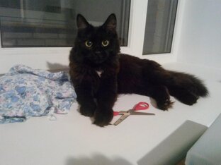 Для доброго настроя🤗