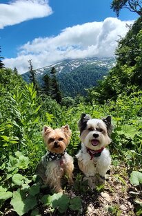 Наши горы⛰️🏔️⛰️