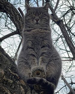 Творчество