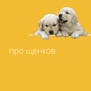про щенков