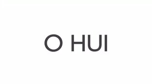 O HUI