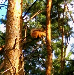Видео моменты из жизни.