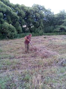 Сельский Бомонд