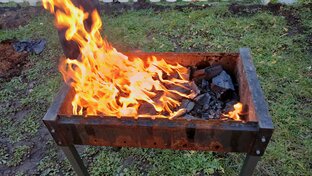 🌱🥕Огород🥕🌱🏡