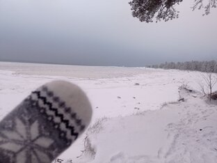 Финский залив