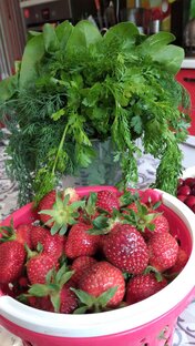 Кулинарные рецепты