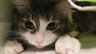 Было хорошо, стало прекрасно!