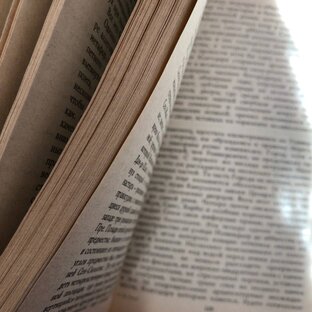 из мира литературы 