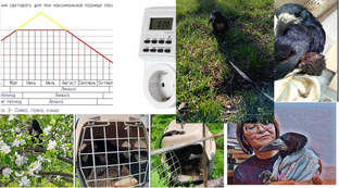 Лучшие посты про Граню