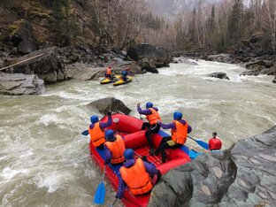 Сплавы (рафтинг) по рекам Алтая