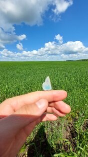 Размышления