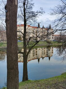 выдуманное счастье длиною в 36 лет