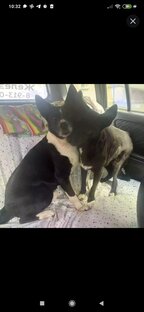 Чара и Буля