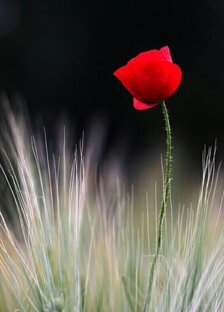 Об изменах, семье, отношениях и не только