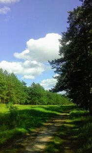 По дорогам России и Армении 