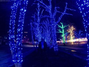Новогодняя ночь в Белгороде