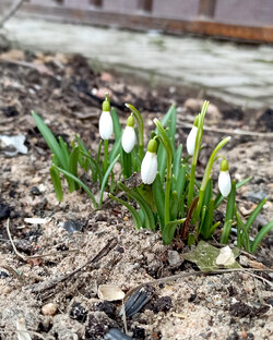 Фото рубрика