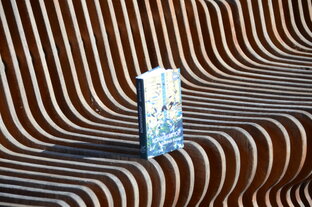 "КОМПИЛЯТОР" Дмитрий Кулиш, Издательство ПЛАНЖ 2020