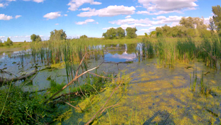 Рыбалка