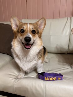 Мэрюша