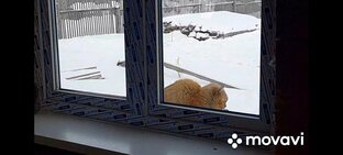 Строим дом