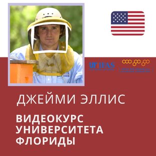 Университет Флориды