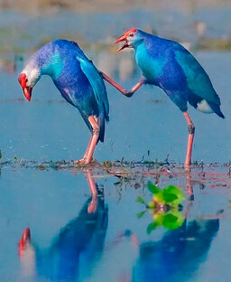 ГОРОСКОПЫ НА ДЕНЬ, НЕДЕЛЮ, МЕСЯЦ, ГОД