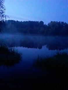 Художественные фильмы