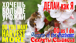 Секреты Садовода - ОПРЫСКИВАНИЕ