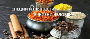 Мир специй и пряностей