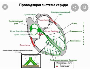Рча часть 1