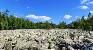 Путешествия 