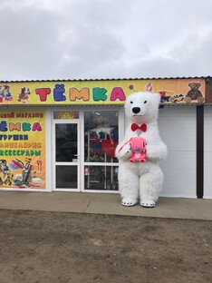 Магазин игрушек Темка