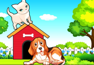 КОШКИ, СОБАКИ, ФЛОРА И ФАУНА.