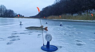 Зимние рыбалки