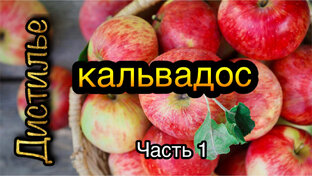 Кальвадос 2023