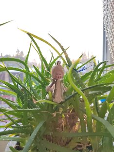 2023, таргетная химиотерапия 