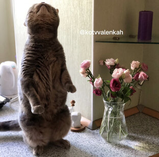 Загадки и задачики😻