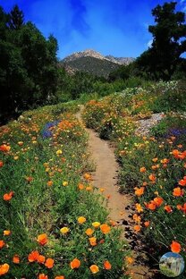 Фото с комментариями