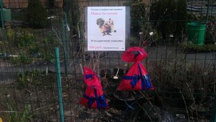 Фотоприколы с телефона