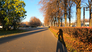Велопрогулки
