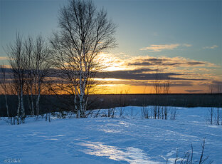 Солнце Заполярья