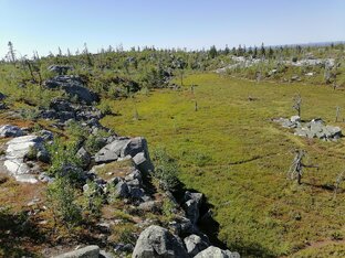 Экспедиция на место силы