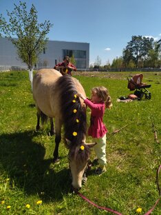 Иппотерапия и развивающая верховая езда