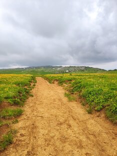 Путешествия