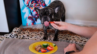 Марель ДЕГУСТАТОР