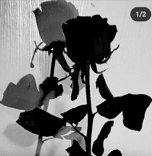 Новое знакомство💖Новая история любви 🌼