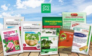 Удобрения и препараты для сада
