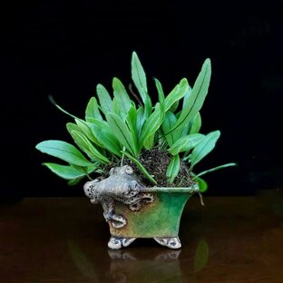 Что такое кусамоно?